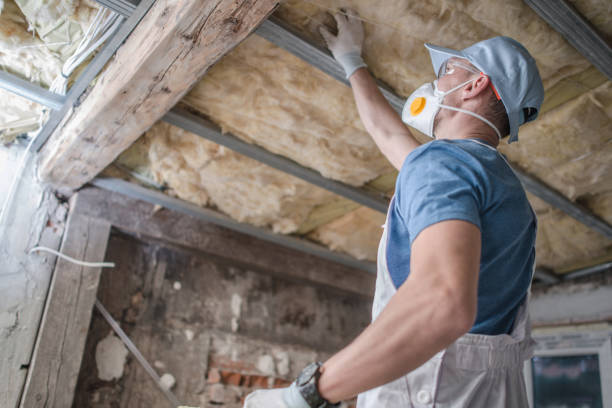 Best Insulation Installation Services in Clayco, MO